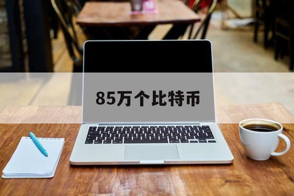 85万个比特币(比特币850万倍)